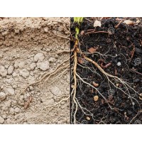 Talajélet Javítók