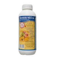 Bordóilé NEO SC