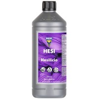 Hesi Hesilicio