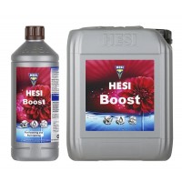 Hesi Boost