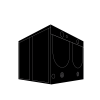 HOMEbox Evolution Q240 (240x240x240cm)
