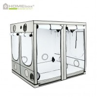 Homebox Ambient Q240 plus termesztő sátor 240x240x220cm