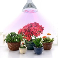 LED Növénylámpák
